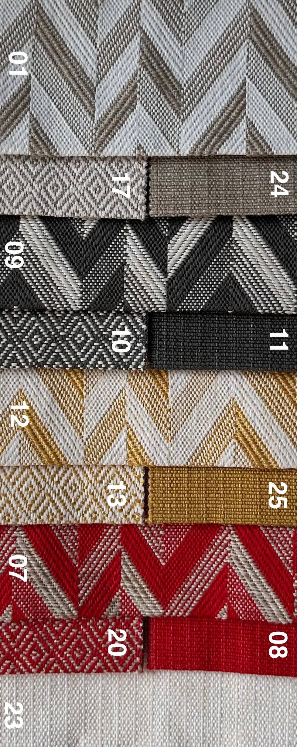 IMG 4276 e1764611099345